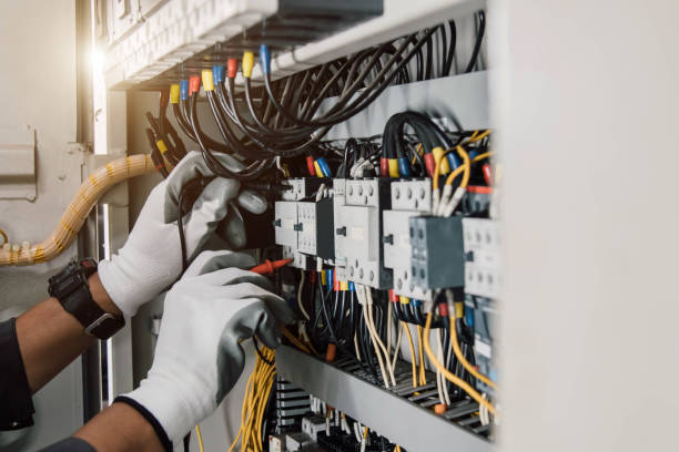 Best Electric Panel Repair  in Aledo, TX